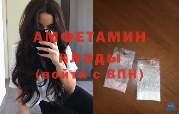 сатива Алзамай