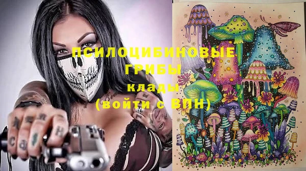 молекула духа Алексеевка