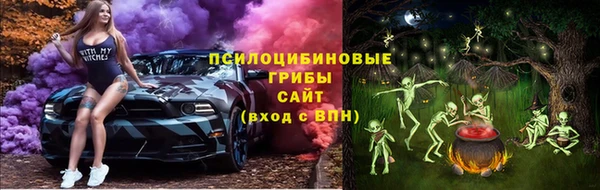 дмт Алексин