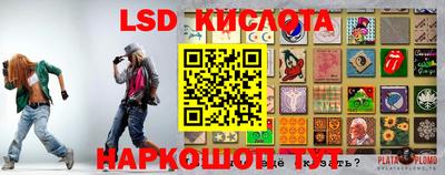 крисы Кингисепп