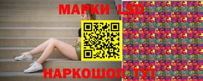 крисы Кингисепп