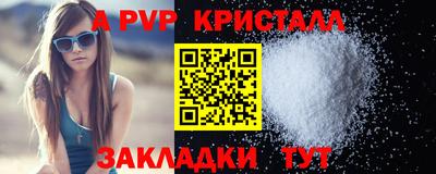 крисы Кингисепп