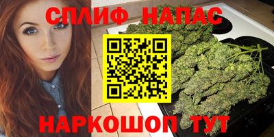 крисы Кингисепп