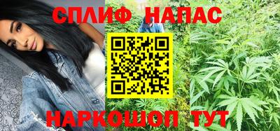 крисы Кингисепп