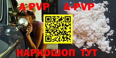 крисы Кингисепп