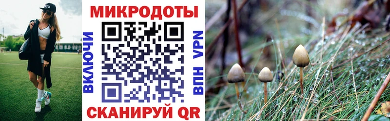 Галлюциногенные грибы мухоморы  Красноярск 