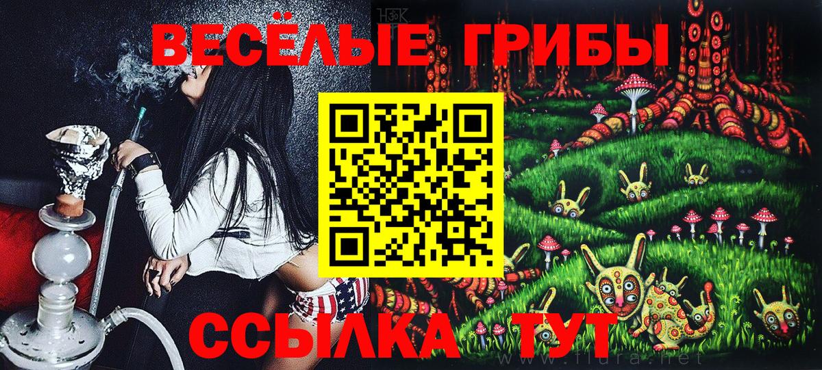 Галлюциногенные грибы мицелий  Вход с VPN  Красноярск 
