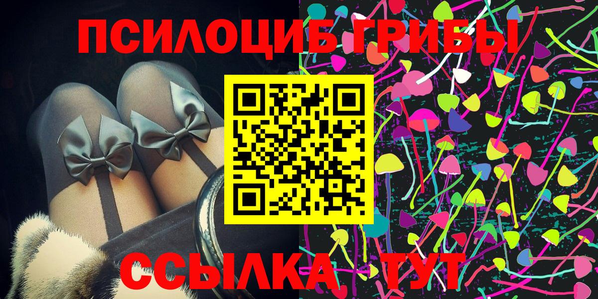 Галлюциногенные грибы Psilocybe Красноярск
